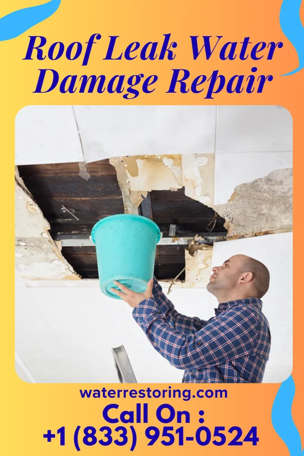 Roof Leak Water Damage Repair in Wibaux, MT